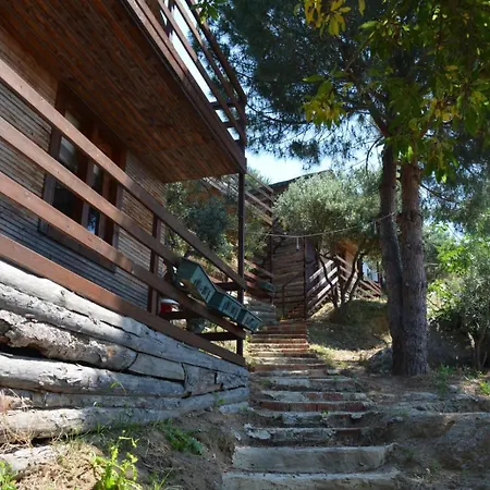Ayanya & Resort Türkeli
