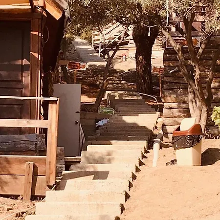 Ayanya & * Avsa Adasi